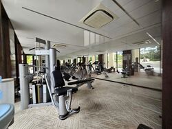 The Colonnade (D10), Condominium #476181271